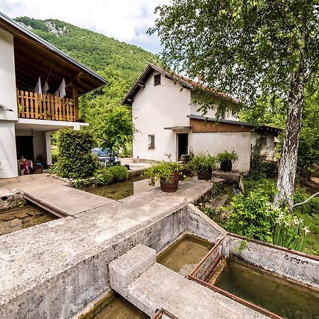 Eko House Dobrenica Villa บีฮัช ภายนอก รูปภาพ
