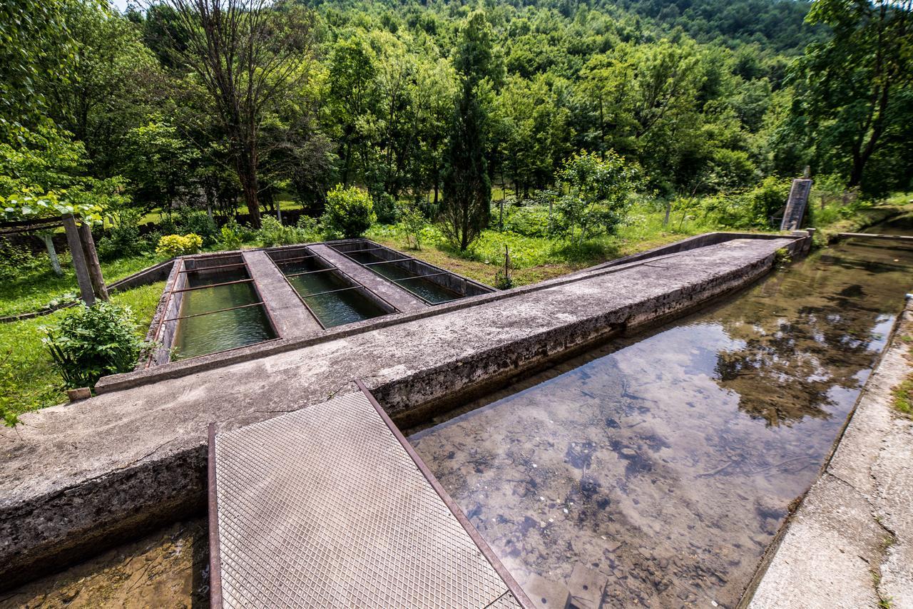 Eko House Dobrenica Villa บีฮัช ภายนอก รูปภาพ