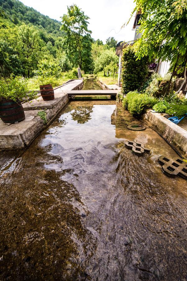 Eko House Dobrenica Villa บีฮัช ภายนอก รูปภาพ