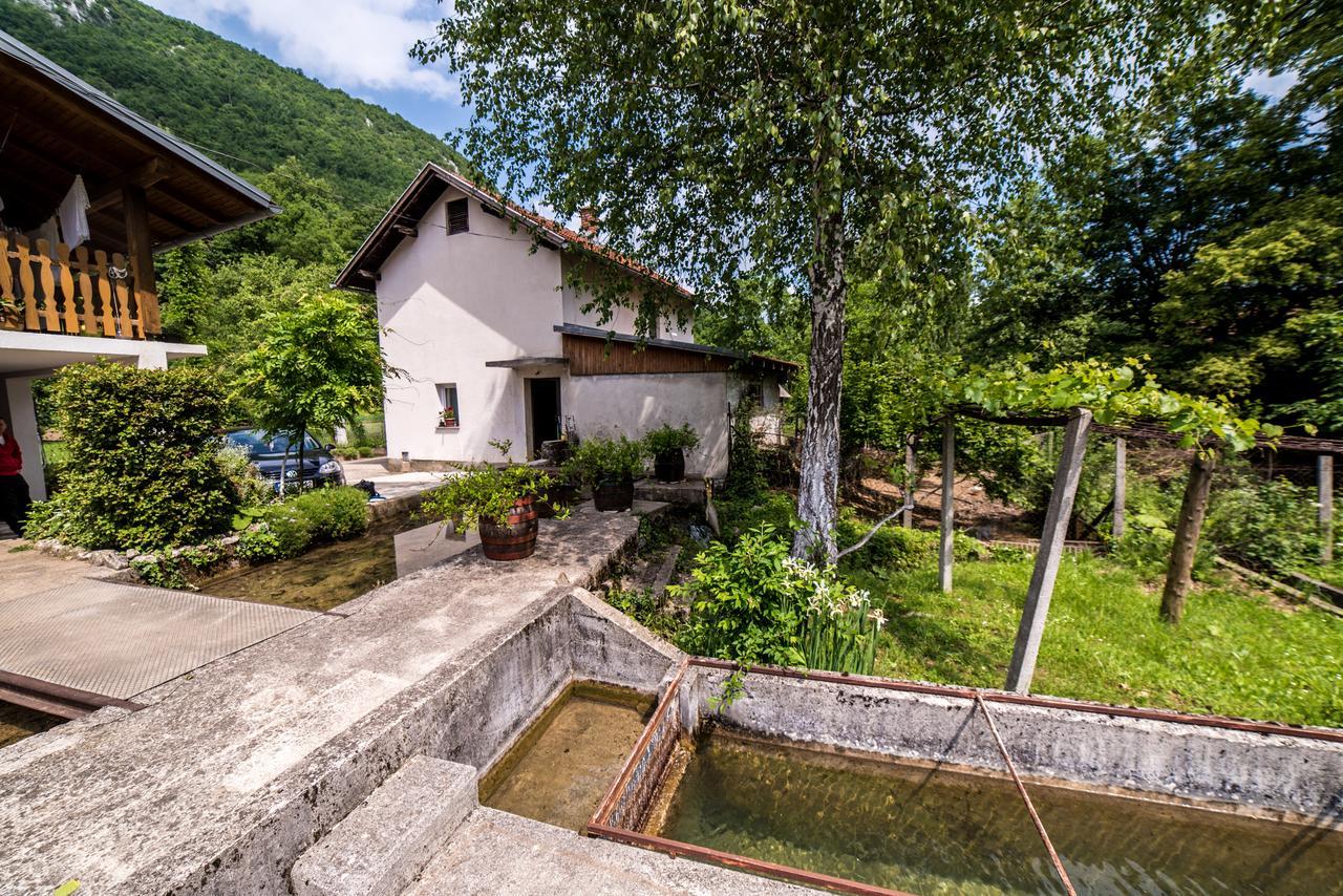 Eko House Dobrenica Villa บีฮัช ภายนอก รูปภาพ
